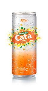 250ml Carbonated Orange Flavor Drink